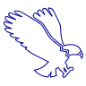 Napoleon venture logo is an eagle